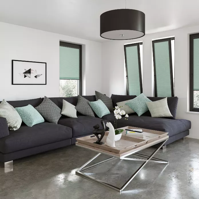 Perfect Fit pleated blinds