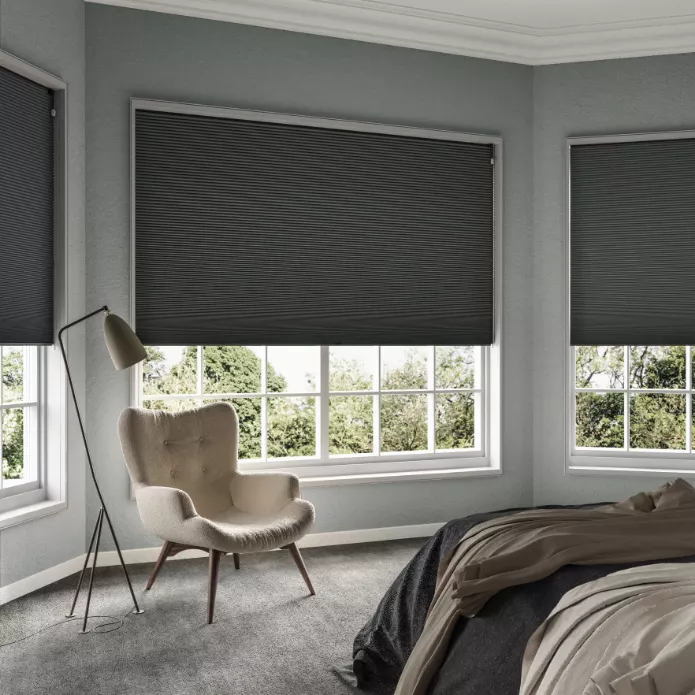 Pleated blind Lexington Blockout Onyx